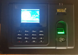v5n